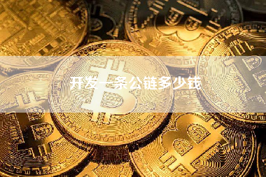 开发一条公链多少钱